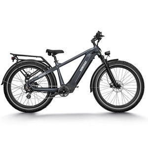 Himiway Zebra Premium All-Terrain Electric Fat Tyre Bike 250W - LeisurExpert