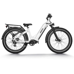 Himiway Zebra Premium All-Terrain Step-Though Electric Fat Bike 250W - LeisurExpert