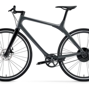 Gogoro Eeyo 1 Electric Bike Graphite Grey - LeisurExpert